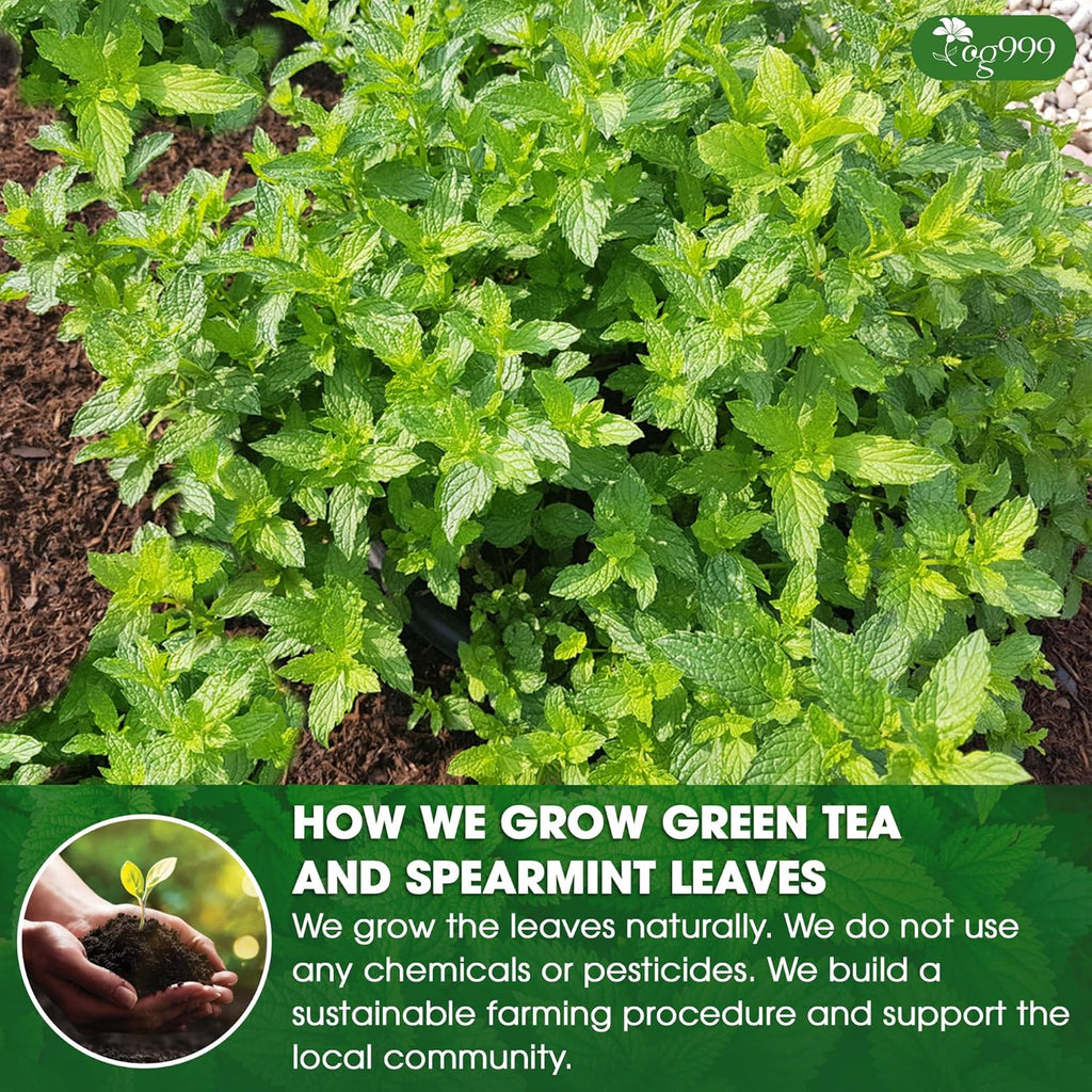 Premium Moroccan Mint Green Tea | Traditional Green Tea with Spearmint –  Premium Quality Herbal Blend.