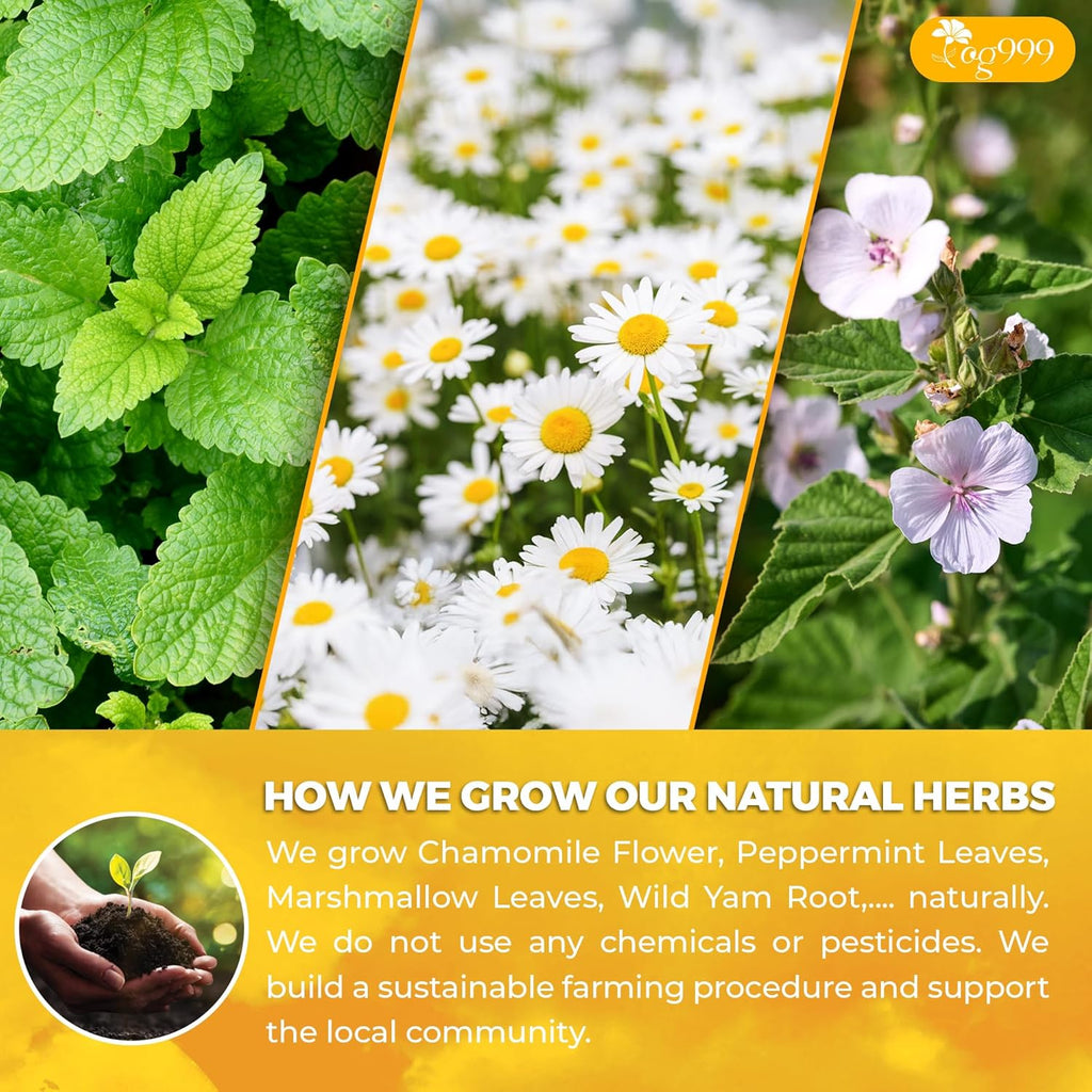 Premium Diverticulitis Tea Bags | 100% Natural Chamomile, Peppermint, Marshmallow Leaf, Wild Yam Root, Licorice & Ginger Herbal Blend