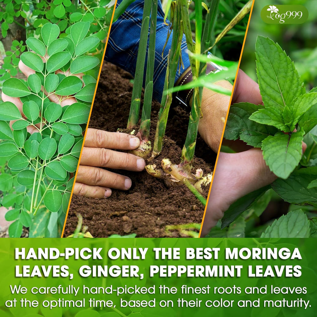 Premium Moringa Ginger Peppermint Herbal Tea