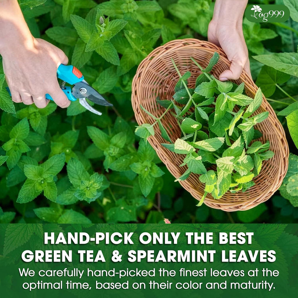Premium Moroccan Mint Green Tea | Traditional Green Tea with Spearmint –  Premium Quality Herbal Blend.