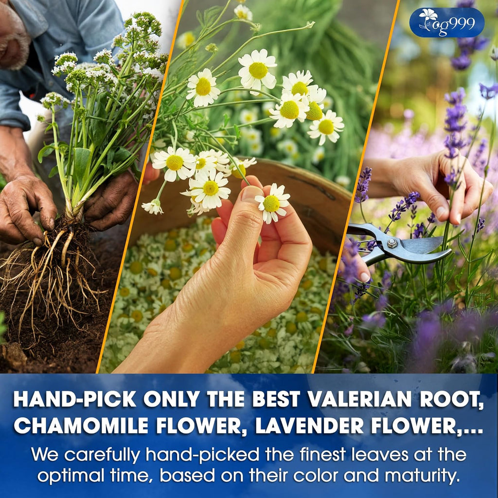 Premium Valerian Tea, Made From Valerian Root, Chamomile flower, Lavender flower Loose Leaf Herbal Tea. Made with Natural Material Tea Bags. No Sugar, No Caffeine, No Gluten, Vegan.