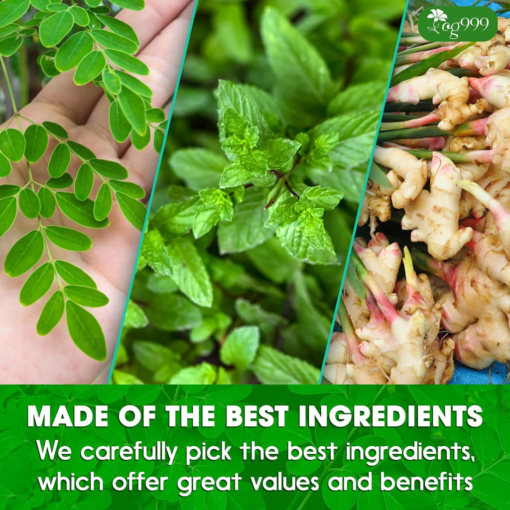 Super Moringa Herbal Tea, Improve Digestion, Support Brain, Weight, Skin and Sleep, Eco-Conscious Tea Bags