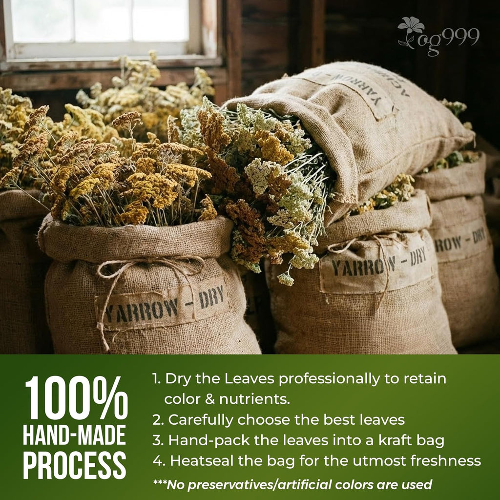 Premium Yarrow Tea Leaves | Naturally Aromatic, Freshly Packed Loose Leaf Yarrow