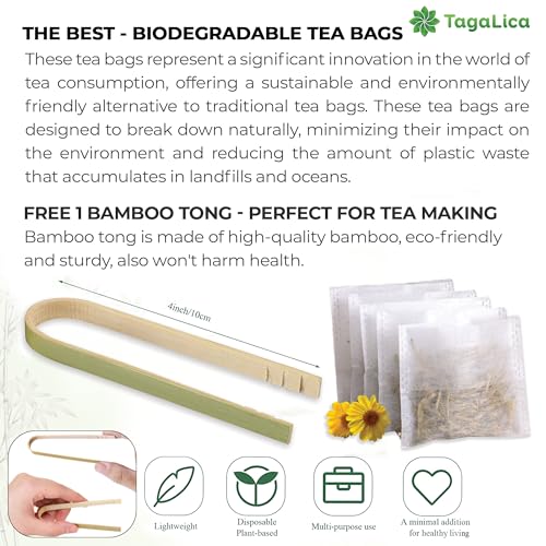 Morning Vitality Tea Bundle – Fennel, Ginger & Lemongrass Tea Bags for Digestive Comfort & Daily Freshness