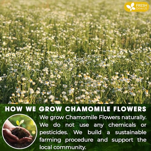 Smooth Sleep & Digest Duo – Chamomile Flower & Fennel Seed Tea Bags for Evening Calm, Digestive Comfort & Bedtime Routine