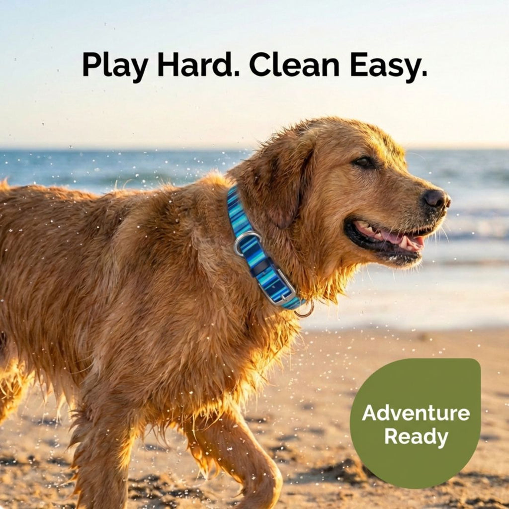 Waterproof Dog Collars – Washable Dog Collar, Stink-Proof & Durable