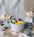 Tricolor Rosette Cactus Candle