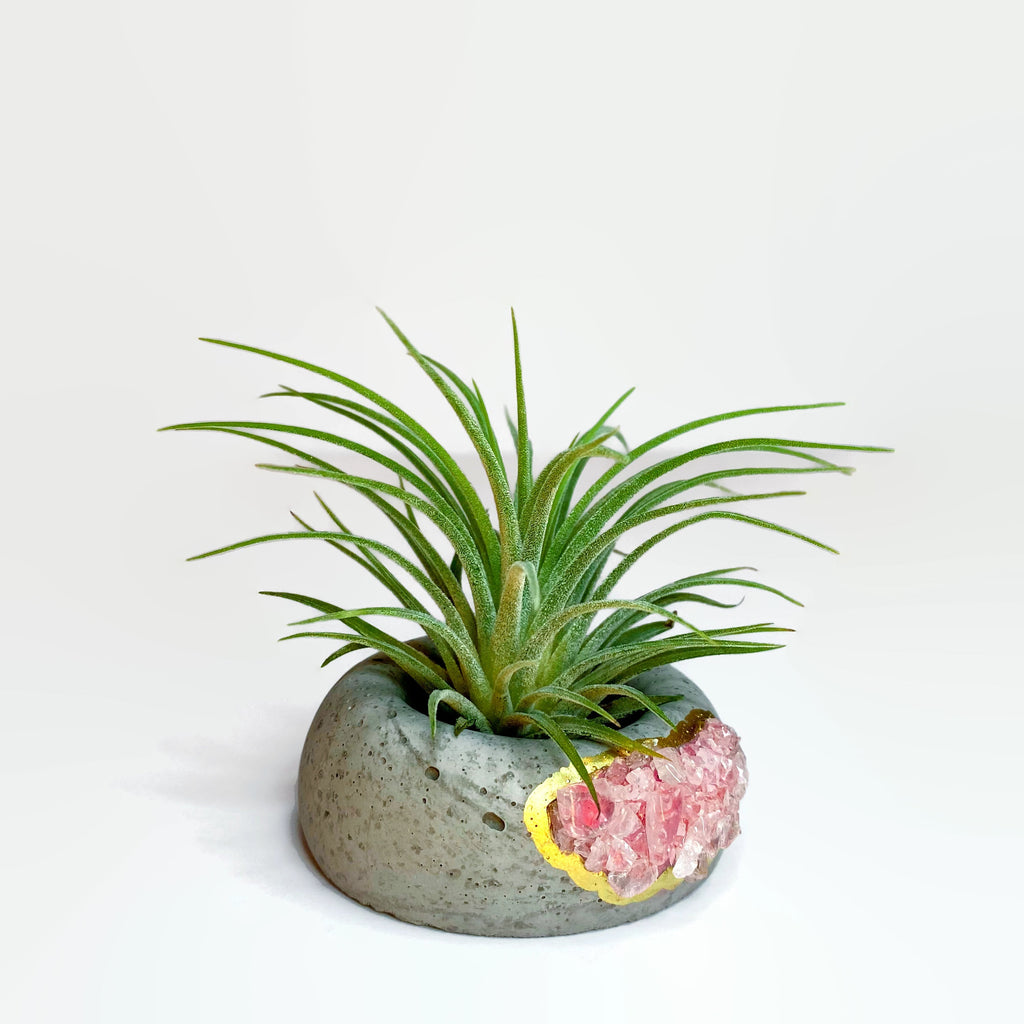 Geode Air Plant Holder -Amazonite Crystal Planter