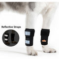 NeoAlly Dog Front Leg Braces: Enhance Safety with Reflective Straps (Pair)