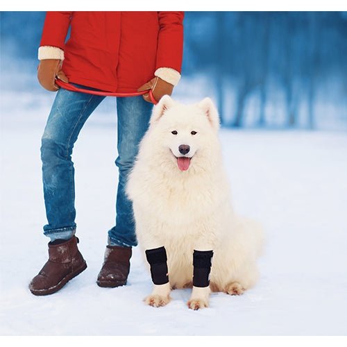 NeoAlly Dog Front Leg Braces: Enhance Safety with Reflective Straps (Pair)