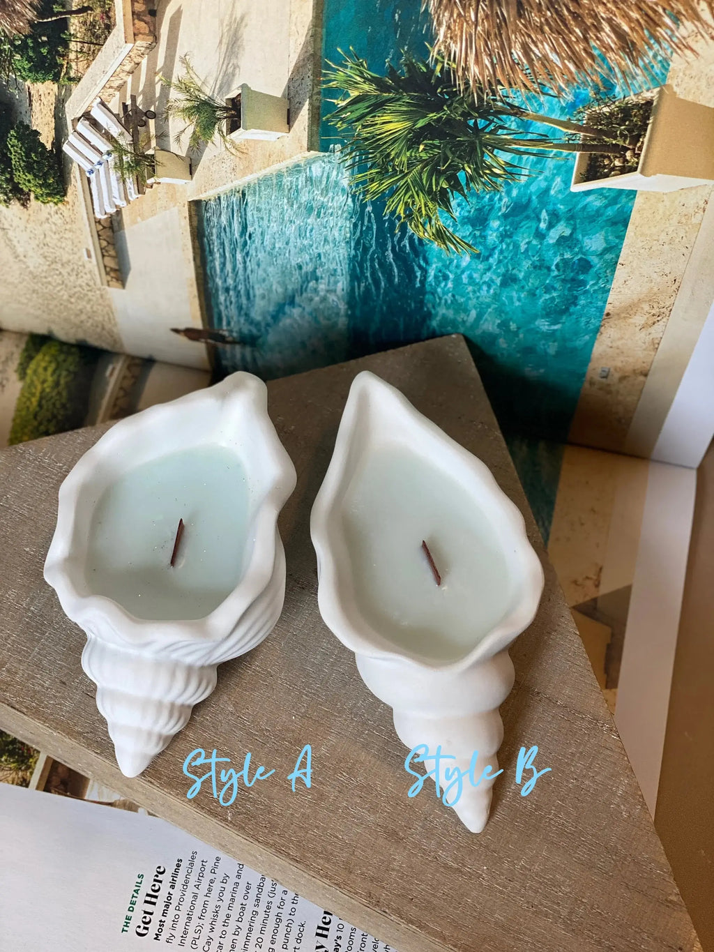 Ocean's Whisper Sea Shell Candle | Jesmonite Vessel