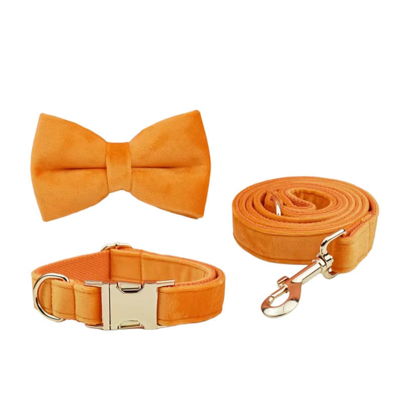 Orange Velvet Set