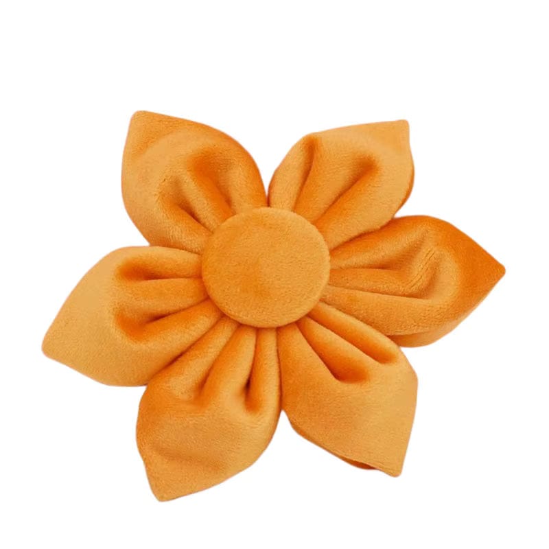 Orange Velvet Set