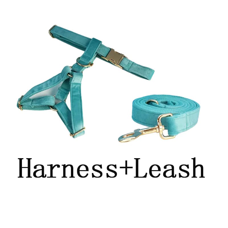 Turquoise Stone Velvet Set